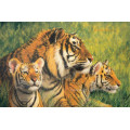 Pintura al óleo animal del tigre